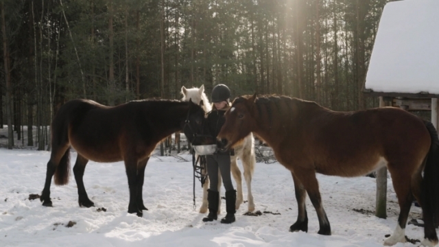 Turpinājums. Pieaugšana